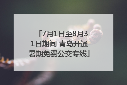 7月1日至8月31日期间 青岛开通暑期免费公交专线