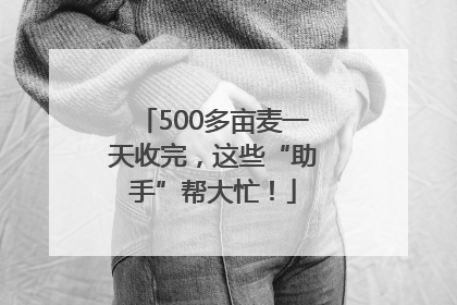 500多亩麦一天收完，这些“助手”帮大忙！