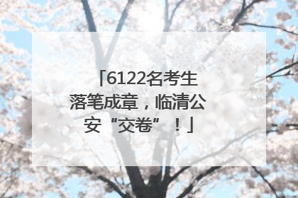 6122名考生落笔成章，临清公安“交卷”！