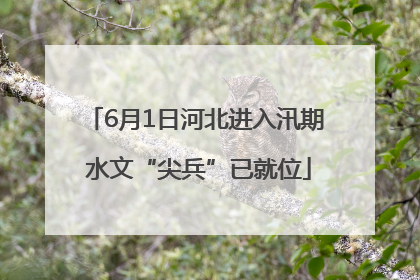 6月1日河北进入汛期 水文“尖兵”已就位