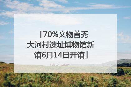 70%文物首秀 大河村遗址博物馆新馆6月14日开馆