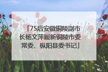 75后安徽铜陵副市长杨文萍履新铜陵市委常委、枞阳县委书记