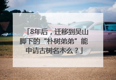 8年后，迁移到吴山脚下的“朴树弟弟”能申请古树名木么？