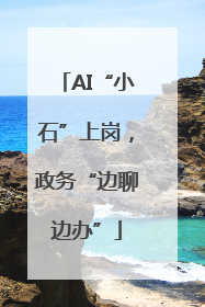 AI“小石”上岗，政务“边聊边办”