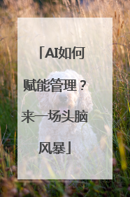 AI如何赋能管理？来一场头脑风暴