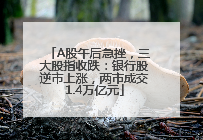 A股午后急挫，三大股指收跌：银行股逆市上涨，两市成交1.4万亿元