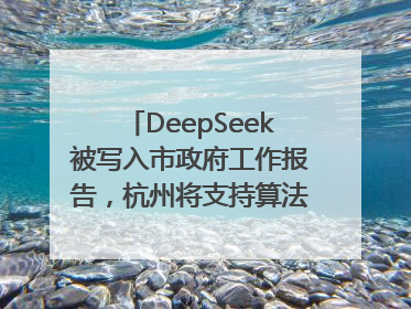 DeepSeek被写入市政府工作报告，杭州将支持算法模型企业发展