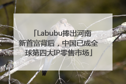 Labubu捧出河南新首富背后，中国已成全球第四大IP零售市场