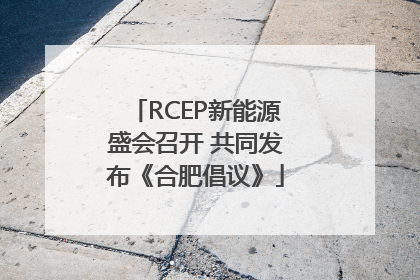 RCEP新能源盛会召开 共同发布《合肥倡议》