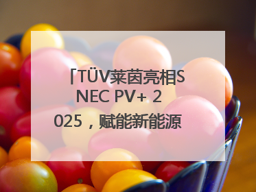 TÜV莱茵亮相SNEC PV+ 2025，赋能新能源产业高质量发展